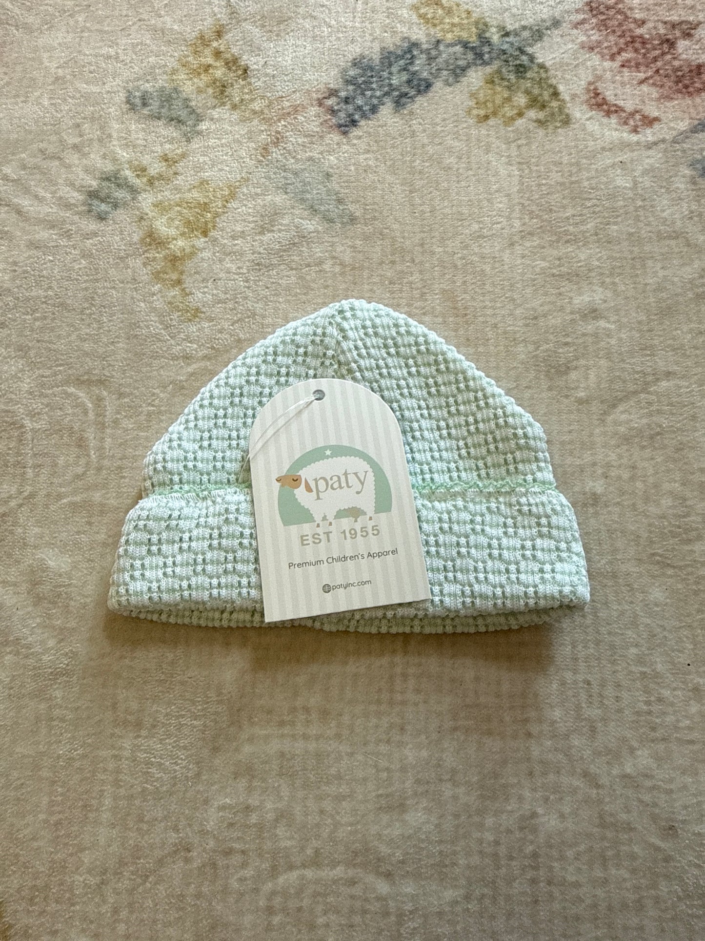 Paty Knit Solid Color Saylor Beanie - Mint