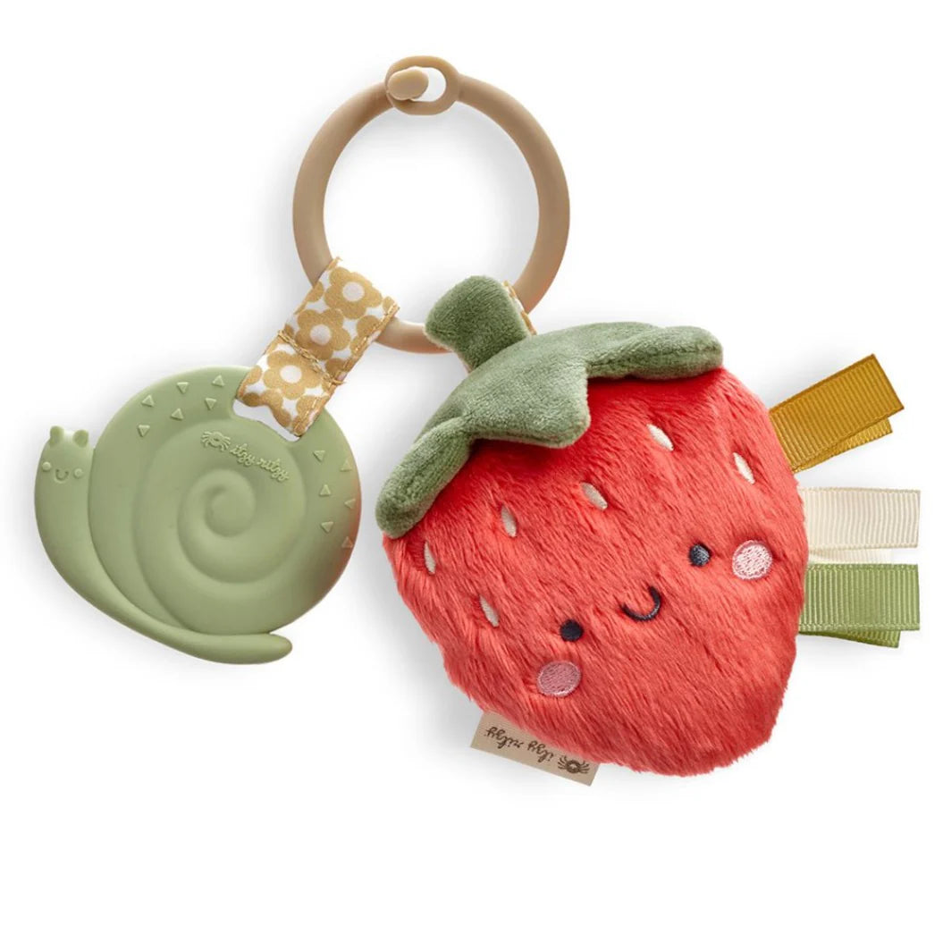 Itzy Ritzy- itzy pal plush + teether