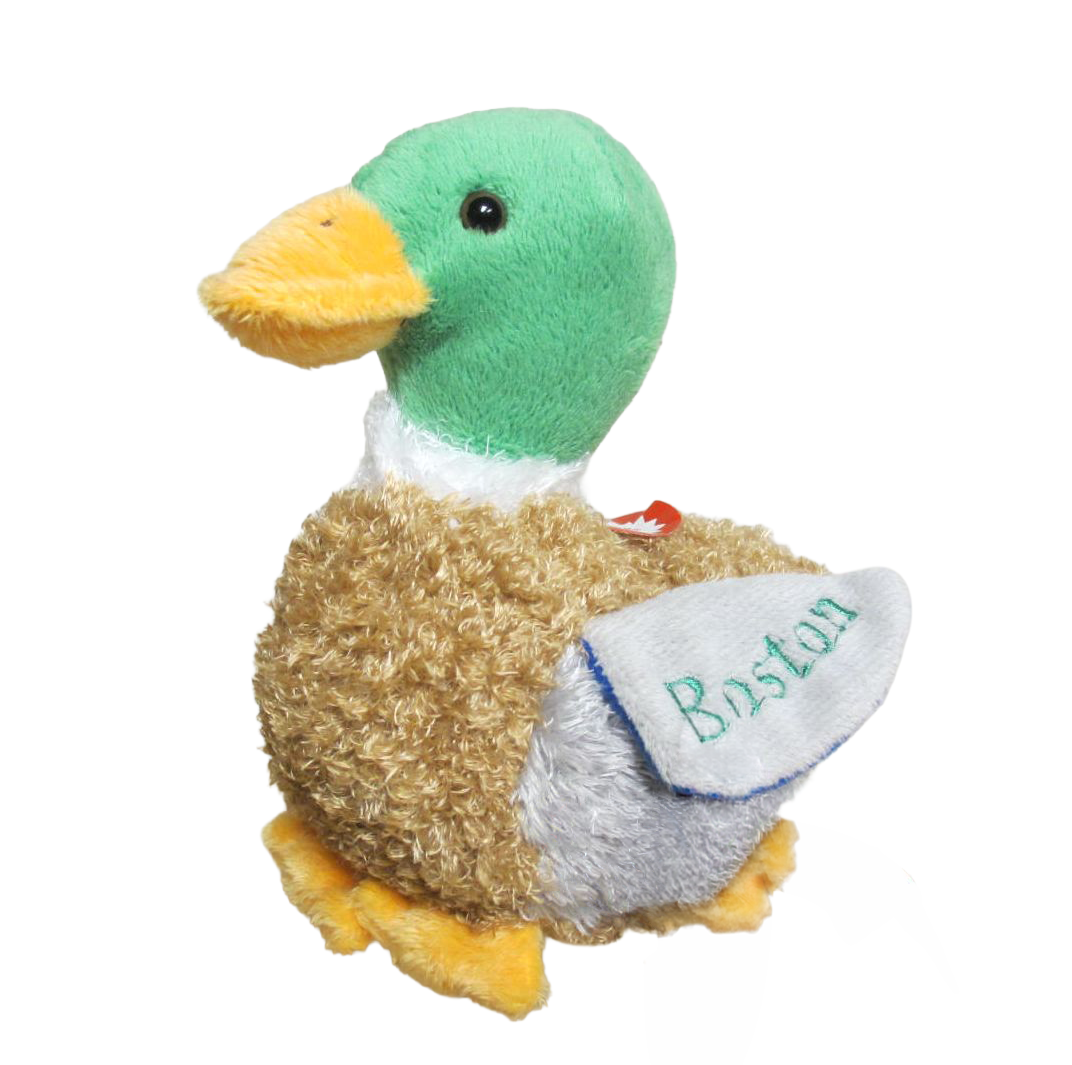 Boston Mallard Duck with sound
