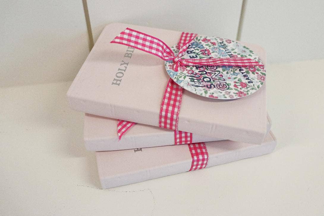 Baby Bible Teether: Pink
