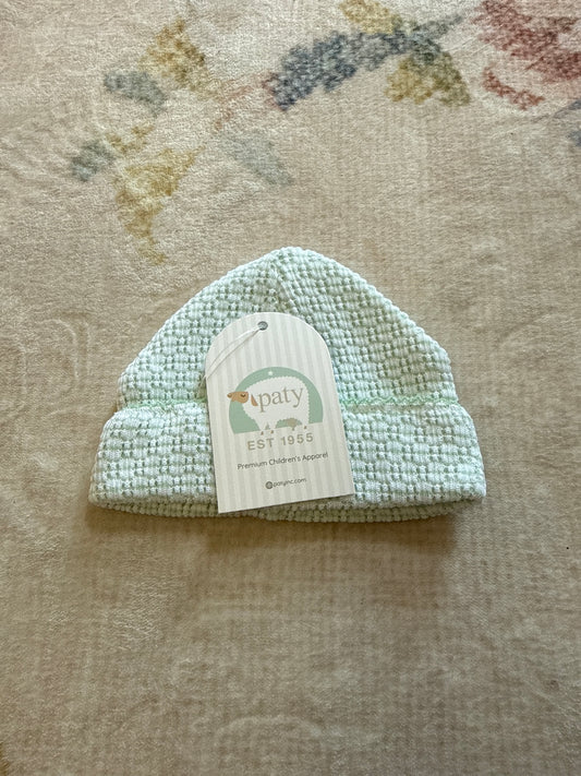 Paty Knit Solid Color Saylor Beanie - Mint