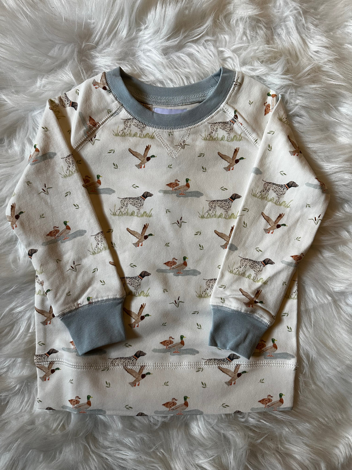Three Little Ducks Duck Duck Dog Sweatshirt