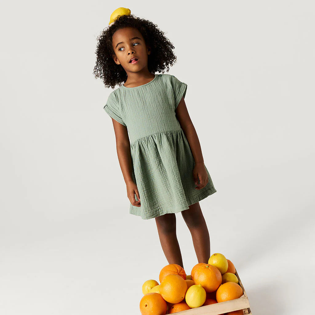 Posh Peanut Cotton Crinkle Dress