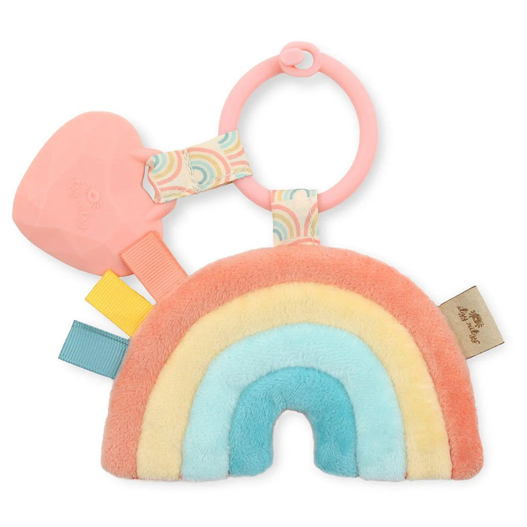 Itzy Ritzy- itzy pal plush + teether