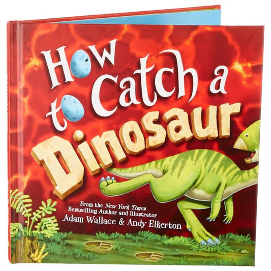 Sourcebooks how to catch a dinosaur