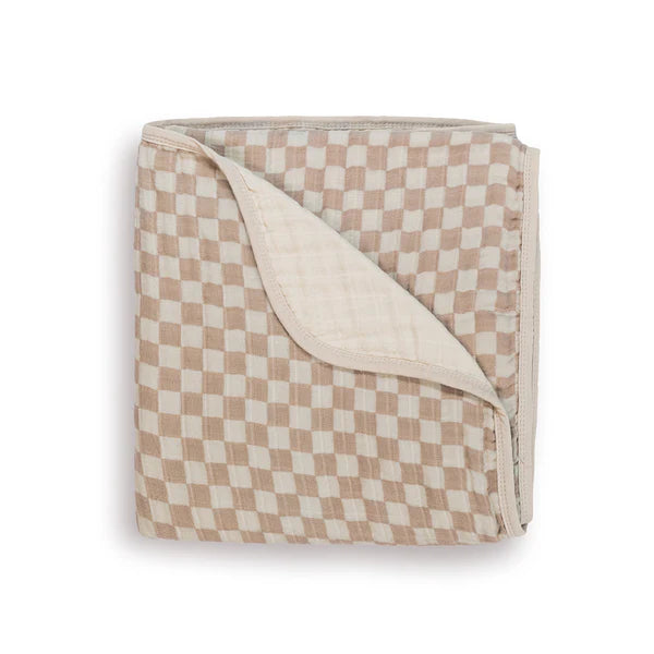 Itzy Ritzy Check Blanket