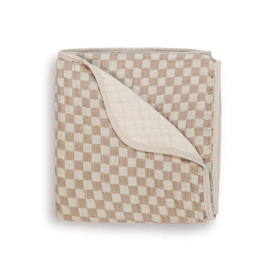 Itzy Ritzy Check Blanket