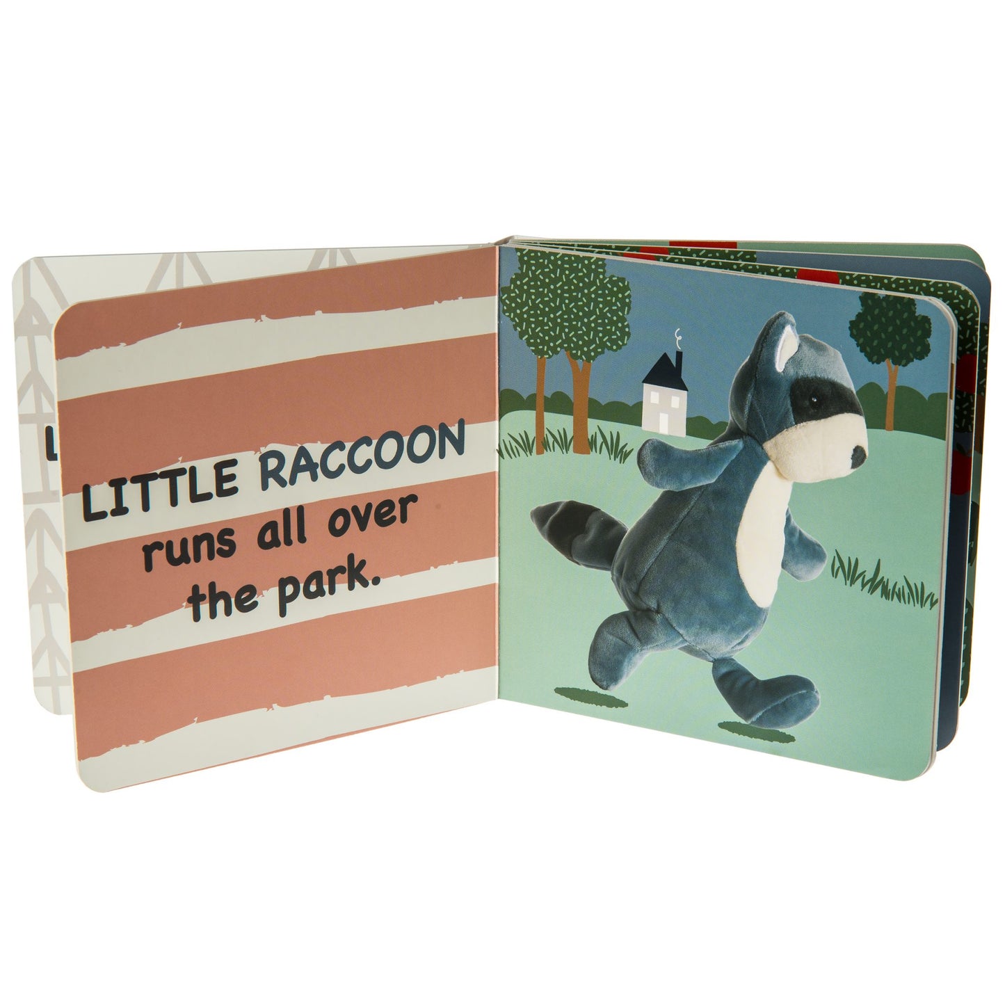 Mary meyer leika little raccoon book